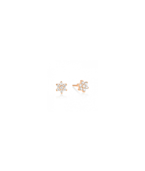 Boucles d'oreilles Ginette NY Diamond Star